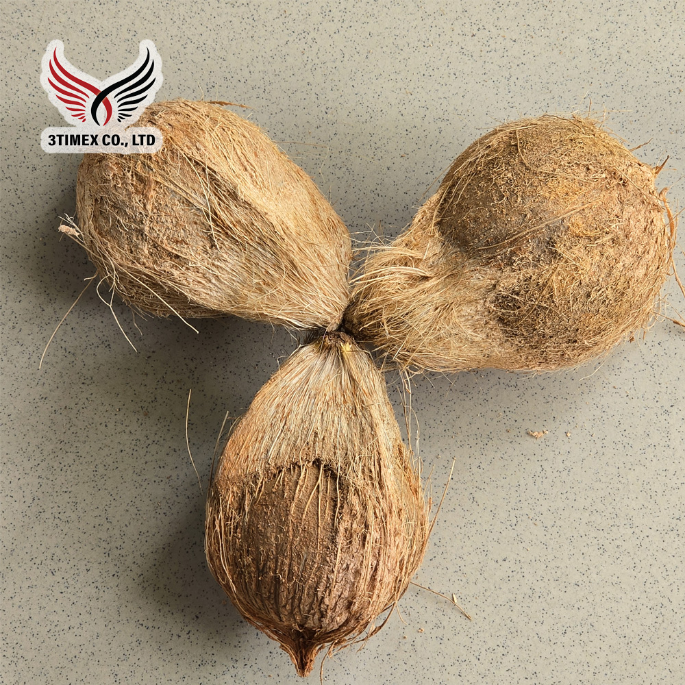 Dừa khô nguyên trái